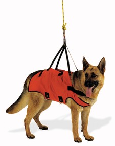 Art. 274 Imbragatura per cani da soccorso